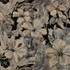 Floral Splash Charcoal by RM CoCo Fabric