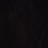 Gleam Black by RM CoCo Fabric Silken Styles 100% Polyester Horizontal: 0 and Vertical: 0 54 - Fabric Carolina -