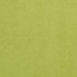 3724 Lime by Charlotte Fabric Microsuede 100% Woven Polyester Asia Exceeds 200,000 Wyzenbeek Rubs (Heavy Duty) No Repeat 54 Inches - Fabric Carolina -