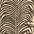 Zebra Palm Java 174970 by Schumacher Fabric Print Happy 27.0" - Fabric Carolina -