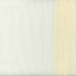 Early Frost Champagne by Carole Fabric 100% Polyester Turkey N/A Horizontal: 0 and Vertical: 0 118 - Fabric Carolina -