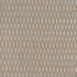 Light It Up Raffia by Carole Fabric Sheer Divine 100% Polyester Turkey N/A Horizontal: 5 and Vertical: 125 118 - Fabric Carolina -