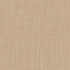 Liberty Latte by Carole Fabric Liberty,Liberty II 100%  Polyester India  None 54"  - Fabric Carolina -