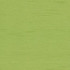 Cargo Keylime by Norbar Fabric 100 POLYESTER TAIWAN 54 - Fabric Carolina -