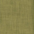 Planet Bamboo by Norbar Fabric PLANET 79% COTTON 21% POLYESTER INDIA 55 - Fabric Carolina -