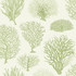 Seafern Soft Green by Cole & Son Wallcovering COLE & SON CURIO PAPER - 100% United Kingdom - Horizontal: - and Vertical: 20.5 20.5 - Fabric Carolina -