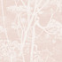 Cow Parsley Plaster Pink by Cole & Son Wallcovering COLE & SON ICONS PAPER - 100% United Kingdom Horizontal: and Vertical: 30 21 - Fabric Carolina -