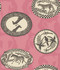 Matrinah Pink by Cole & Son Wallcovering