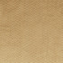 Loreto Gold by Clarke And Clarke Fabric CLARKE & CLARKE LUSTRO POLYESTER - 100% China HEAVY Horizontal: 0.79 and Vertical: 0.39 55 - Fabric Carolina -