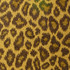 On The Spot Caramel by RM CoCo Fabric World Bazaar - Wesco 100% POLYESTER Horizontal: 13.25 and Vertical: 18.75 53 - Fabric Carolina -