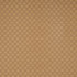 Dream Latte by RM CoCo Fabric Chimera Plus 100% Polyester See Sample 0 Horizontal: 0.63 and Vertical: 0.625 54 - Fabric Carolina -