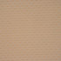 W250 1903 by RM CoCo Fabric Peak Performance 100% Acrylic See Sample 0 Horizontal: 1.125 and Vertical: 1.25 54 - Fabric Carolina -