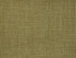 Runway Mustard by Norbar Fabric CONDOR 100% POLYESTER TAIWAN 54" - Fabric Carolina -