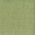 Cancun Aloe by Norbar Fabric 100% POLYESTER INDIA 54" - Fabric Carolina -