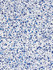 <p>Spatter Cotton Print Navy On White HNF0153000N by Scalamandre Fabric</p><p><strong>Required Minimum Quantity Purchase: Fabrics by the yard 1 YARD MINIMUM </p><p>Book: HINSON ICONS</p><p>Content: 100% COTTON</p><p>Origin: U.S.A.</p><p>Performance: LIGHT DUTY</p><p>Repeat: Horizontal: 13.5" and Vertical: 13.5"</p><p>Width: 48</p>
