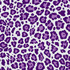 Leopard Dance Amethyst by RM CoCo Fabric ColorWorks Fall 2021 RM Studio See Sample 0 Horizontal: 9 and Vertical: 9 0 - Fabric Carolina -