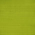 Slyph Lime by Clarke And Clarke Fabric WILDERIE BY EMMA J SHIPLEY FOR C&C SILK - 100% India Horizontal: 0 and Vertical: 0 54 - Fabric Carolina -