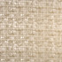 Every Shadow Champagne by Carole Fabric Marble & Brass 100% Polyester India  10" V, 9" H 54"  - Fabric Carolina -