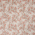 Quincy 1 Tangerine by Stout Fabric Stout Fabric Quincy 1 TangerineFabric RAINBOW LIBRARY CAMELLIA/CLAY INDIA </p><p>Repeat: H: 10.375, V: 9.375 52 in - Fabric Carolina -