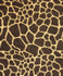 Kipenzi 12318 M9327 by Barrow Industries Fabric 21C09 100% POLYESTER CHINA </p><p>Repeat: Horizontal: and Vertical: 54" Minimum - Fabric Carolina -