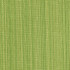 Stitch Lime by Crypton Fabric See sample 100% Polyester 50000 Horizontal: Not Applicable and Vertical: Not Applicable 54" - Fabric Carolina -