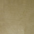 S4983 Champagne by Greenhouse Fabric S72: Fawn 100% Polyester Turkey 51,000 double rubs Water & Soil Repellent </p><p>Repeat: None 55" - Fabric Carolina -