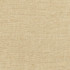 Training Day Sand by Carole Fabric Sunbaked 92% Polyester, 8% Cotton INDIA N/A None 54"  - Fabric Carolina -