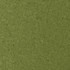 Conte 811 Grass by Maxwell Fabric CURLED UP VIII 100% POLYESTER INDIA   54"  - Fabric Carolina -