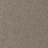 Conte 907 Plaza by Maxwell Fabric CURLED UP VIII 100% POLYESTER INDIA   54"  - Fabric Carolina -
