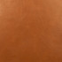 Derma Spice by Europatex Fabric Derma Surface: 100% PVC (Phthalate Free) Backing: 100% Polyester 0.00" 54.00 inches - Fabric Carolina -