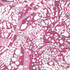Puccini Fuchsia AF9861 by Anna French Fabric Anna French Fabric Puccini Fuchsia AF9861Fabric Nara Fabric 100% Linen ITALY </p><p>Repeat: V: 37 54 - Fabric Carolina -