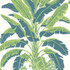 Banana Tree Green and Blue T13918 by Thibaut Wallpaper Thibaut Wallpaper Banana Tree Green and Blue T13918Wallpaper Palm Grove Wallpaper U.S.A. </p><p>Repeat: V: 36 27 - Fabric Carolina -