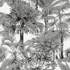 Palm Botanical Black T10102 by Thibaut Wallpaper Thibaut Wallpaper Palm Botanical Black T10102Wallpaper Tropics Wallpaper U.S.A. </p><p>Repeat: V: 36 27 - Fabric Carolina -