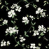 Dogwood Black Wallpaper by York Wallcoverings Blooms Covers about 56.4 square feet 20.5-in by 33-ft long roll Unpasted 10.25 - Fabric Carolina -