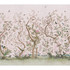 Les Oiseaux Blush 5015154 by Schumacher Wallpaper Perennial Favorites 162.0" - Fabric Carolina -