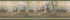 Storrie Green Deer Wallpaper by Chesapeake Echo Lake Lodge Covers about 8.1 square feet 6.5-in by 15-ft long roll Prepasted 0 - Fabric Carolina -
