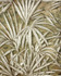 Veneto Brown Palm Tree Wallpaper by Brewster Selvaggia Covers about 57.8 square feet 21-in by 33-ft long roll Unpasted 25 - Fabric Carolina -