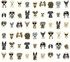 Dog Days Grey Peel & Stick Wallpaper by Rifle Paper Co. P&S Rifle Paper 2 Covers about 45 square feet 27-in by 20-ft long roll Peel & Stick 24 - Fabric Carolina -