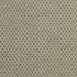 Tip The Scales Fern by Carole Fabric Form & Texture 53% Cotton, 47% Polyester 35,000 Martindale Circular Rubs 1" V, 3/4" H 54" - Fabric Carolina -