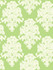 Montserrat Olive Green and Off-White by Seabrook Wallpaper Tortuga United States 60.75 18" 27" - Fabric Carolina -