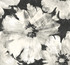 Curie Abstract Floral Metallic Ebony and Off-White by Seabrook Wallpaper Avant Garde United States 60.75 25.2" 27" - Fabric Carolina -