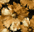 Curie Abstract Floral Metallic Gold and Ebony by Seabrook Wallpaper Avant Garde United States 60.75 25.2" 27" - Fabric Carolina -