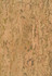 Cork Brown, Metallic Gold by Seabrook Wallpaper Natural Resource Republic of Korea 72 0" 36" - Fabric Carolina -