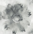 Watercolor Sunflower Metallic Silver & Charcoal by Seabrook Wallpaper L'Atelier de Paris United States 56.05 20.87" 20.5" - Fabric Carolina -