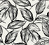 Beckett Sketched Leaves Volcanic Black by Seabrook Wallpaper Summer House United States 60.75 25.2" 27" - Fabric Carolina -