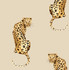 Leopard King Pale Oak by Seabrook Wallpaper Daisy Bennett Peel and Stick United States 30.75 20.87" 20.5" - Fabric Carolina -