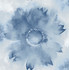 Watercolor Sunflower Navy Blue by Seabrook Wallpaper NextWall Peel & Stick United States 30.75 20.87" 20.5" - Fabric Carolina -