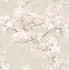 Cherry Blossom Grove Parchment & Rose by Seabrook Wallpaper NextWall Peel & Stick United States 30.75 20.87" 20.5" - Fabric Carolina -