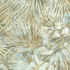Palmier Wide Width Beige TWW34009 by Thibaut Wallpaper Thibaut Wallpaper Palmier Wide Width Beige TWW34009Wallpaper TEXTURE RESOURCE 9 Embossed Vinyl on Non Woven UNITED STATES </p><p>Repeat: H: , V: 40 54 - Fabric Carolina -