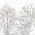 Inverno Mural White/Silver CWM10090 by Coraggio Wallpaper Coraggio Wallpaper Inverno Mural White/Silver CWM10090Wallpaper CORAGGIO SPRING 2026 2 Panel Mural on Non Woven ITALY </p><p>Repeat: H: , V: 79 - Fabric Carolina -